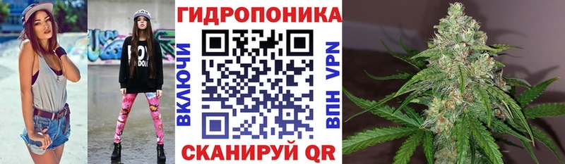 Купить закладки  Сунжа  Каннабис VHQ 